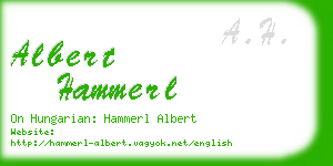 albert hammerl business card